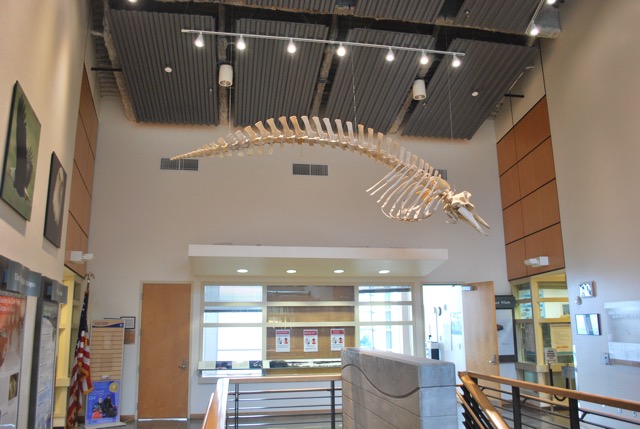 The Fisheries Research Centre