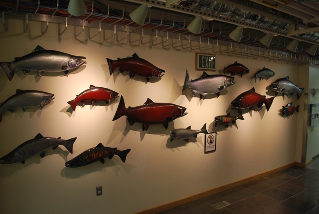 The Fisheries Research Centre