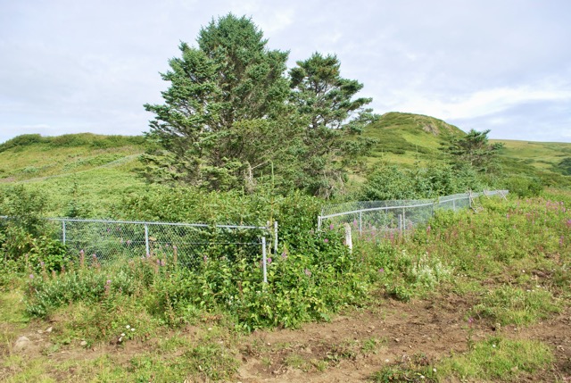 One of the cemetaries