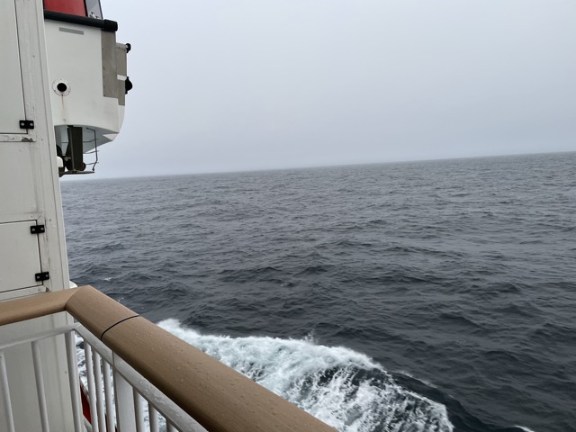 Todays morning glory