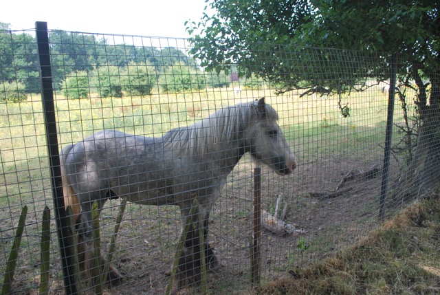 22.7.2013 Section 2 (Rest)