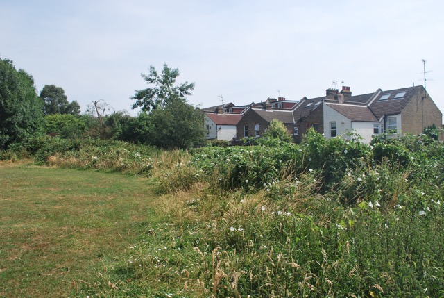 22.7.2013 Section 2 (Rest)