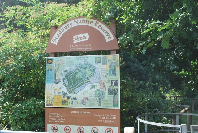 22.7.2013 Section 2 (Rest)