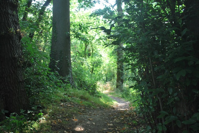 22.7.2013 Section 2 (Rest)