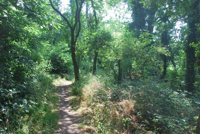 22.7.2013 Section 2 (Rest)