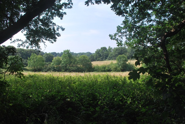 22.7.2013 Section 2 (Rest)