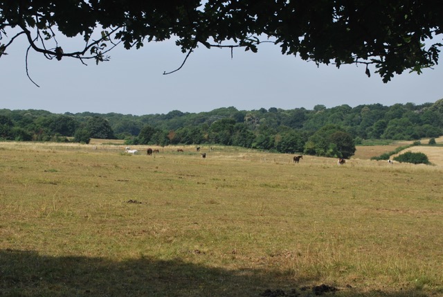 22.7.2013 Section 2 (Rest)