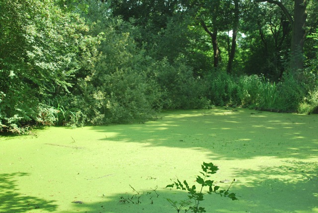 22.7.2013 Section 2 (Rest)