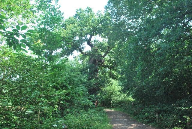 22.7.2013 Section 2 (Rest)