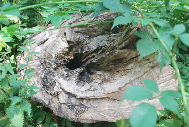 22.7.2013 Section 2 (Rest)