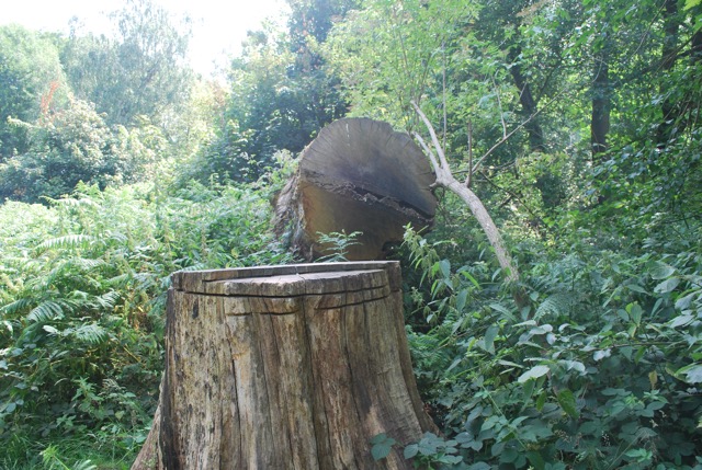 22.7.2013 Section 2 (Rest)