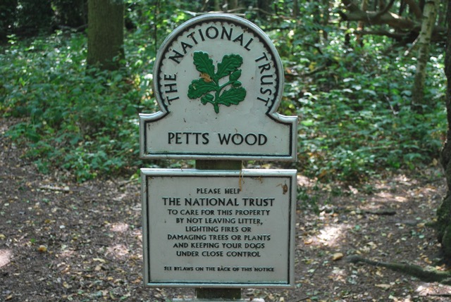 22.7.2013 Section 2 (Rest)