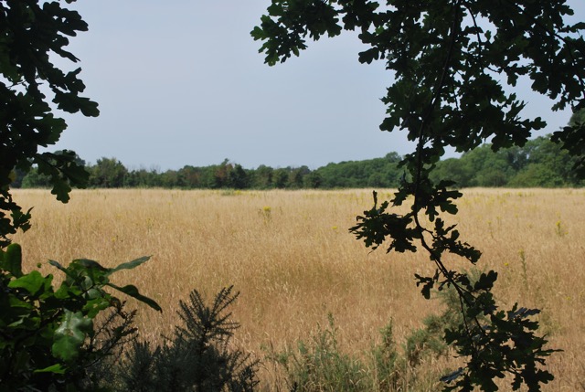 22.7.2013 Section 2 (Rest)