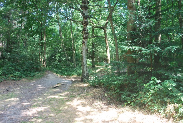 22.7.2013 Section 2 (Rest)