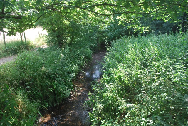 22.7.2013 Section 2 (Rest)