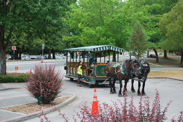 Stanley Park carriage tour