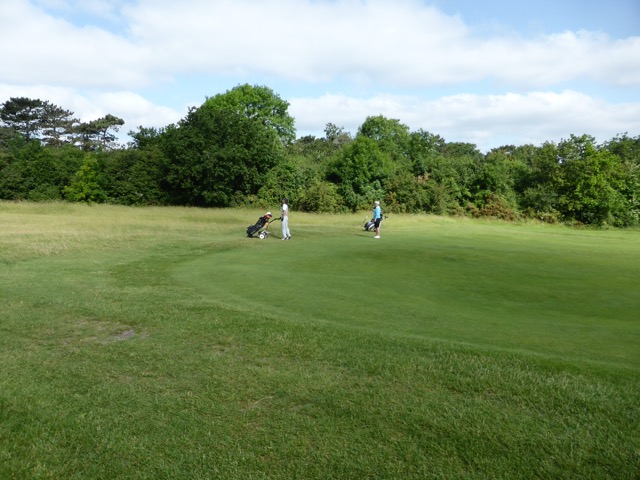 17.6.2013 ( Section 6 )