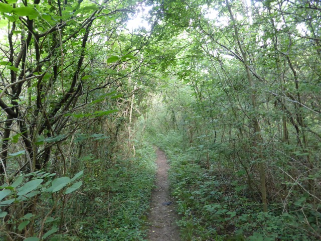 17.6.2013 ( Section 6 )