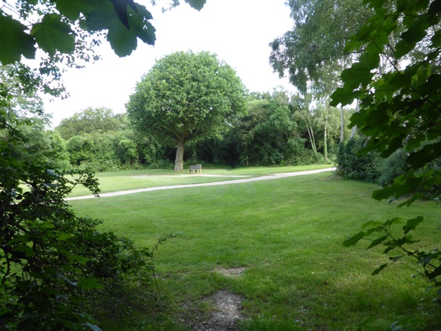 17.6.2013 ( Section 6 )