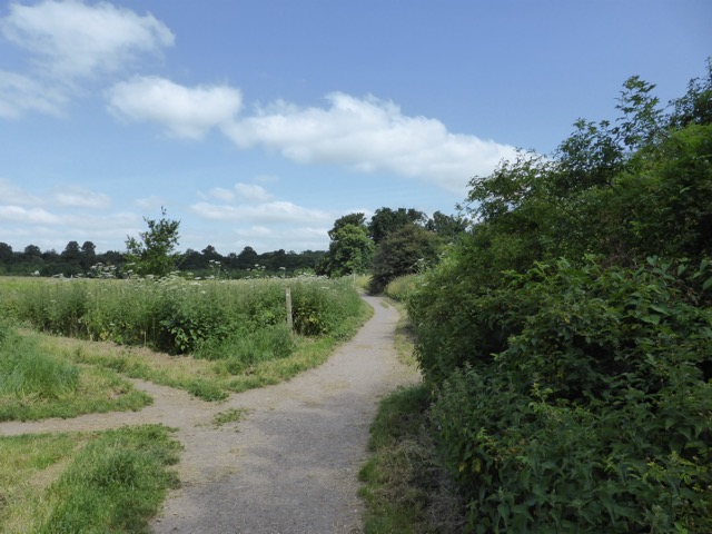 17.6.2013 ( Section 6 )