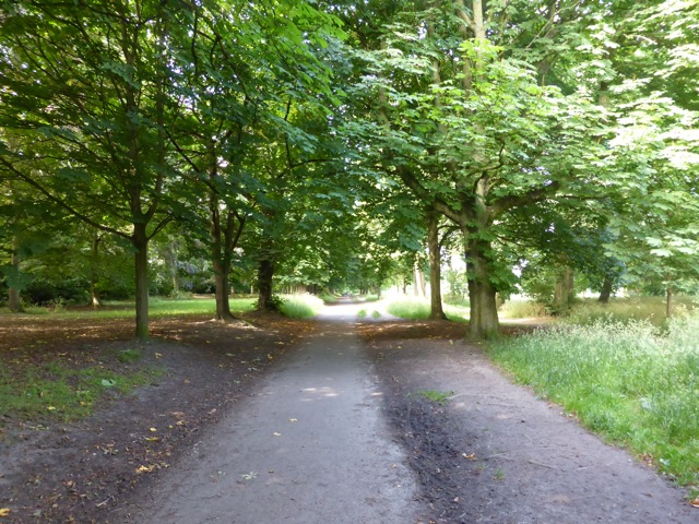 17.6.2013 ( Section 6 )