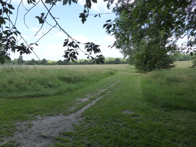 17.6.2013 ( Section 6 )