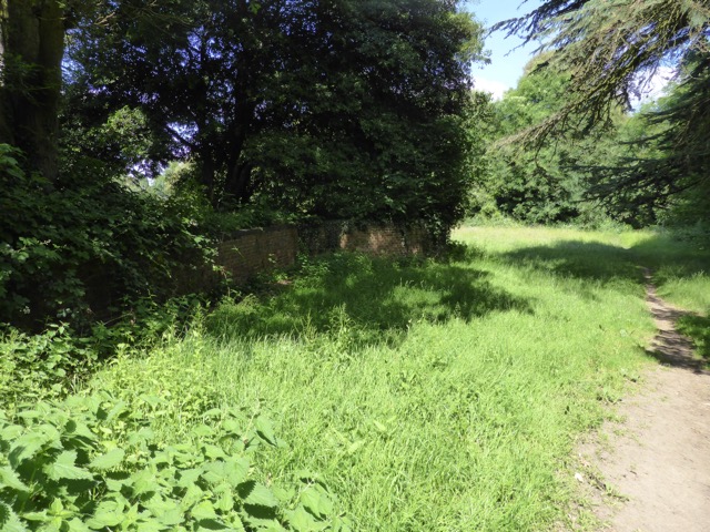 17.6.2013 ( Section 6 )