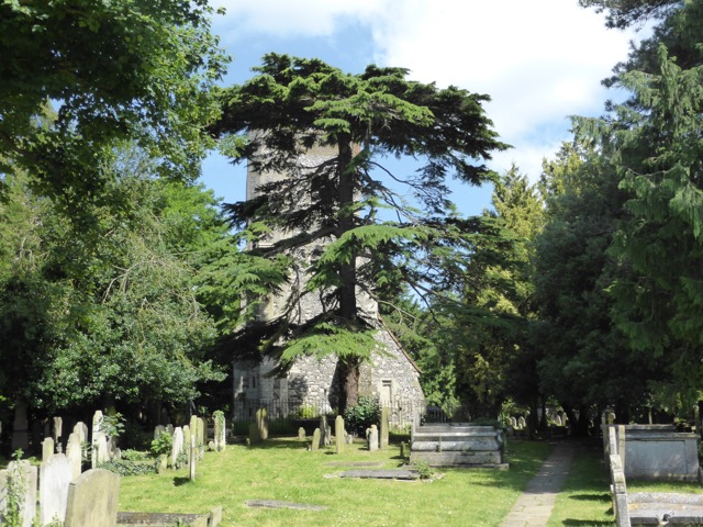 17.6.2013 ( Section 6 )