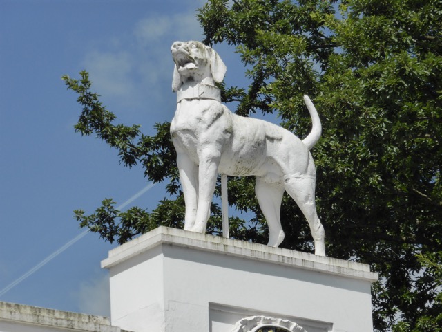 17.6.2013 ( Section 6 )