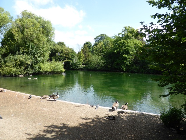 17.6.2013 ( Section 6 )