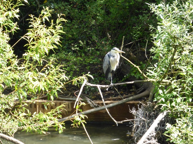 17.6.2013 ( Section 6 )