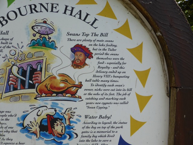 17.6.2013 ( Section 6 )