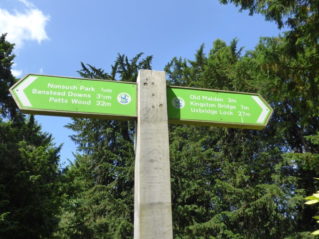 17.6.2013 ( Section 6 )