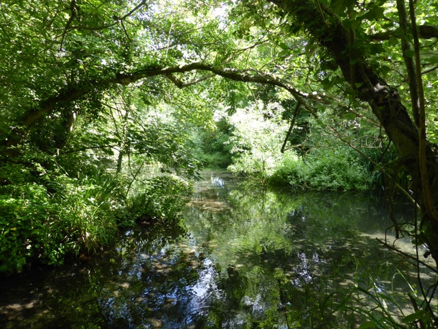 17.6.2013 ( Section 6 )