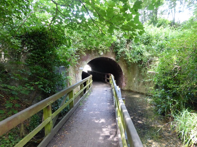 17.6.2013 ( Section 6 )