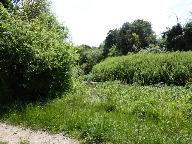 17.6.2013 ( Section 6 )