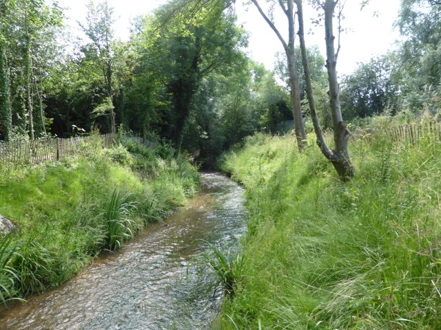 17.6.2013 ( Section 6 )