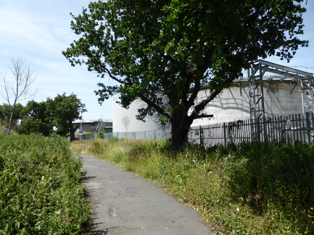 17.6.2013 ( Section 6 )