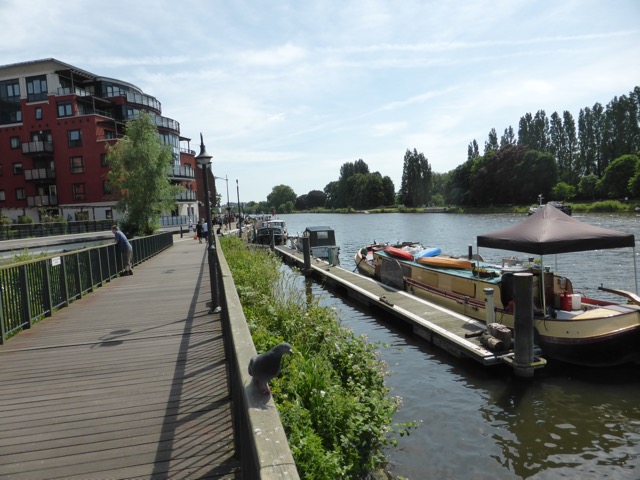 17.6.2013 ( Section 6 )