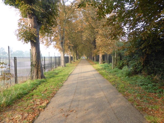 23.9.2014 ( Section 7 )