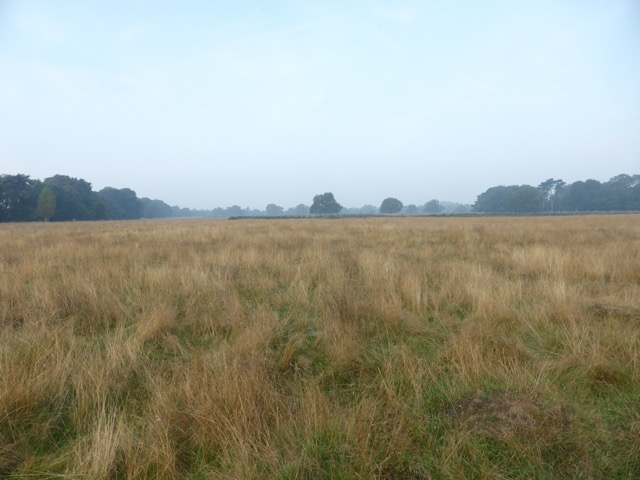 23.9.2014 ( Section 7 )