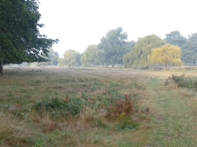 23.9.2014 ( Section 7 )