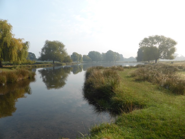 23.9.2014 ( Section 7 )