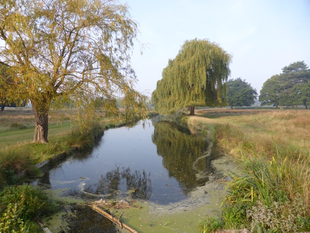 23.9.2014 ( Section 7 )