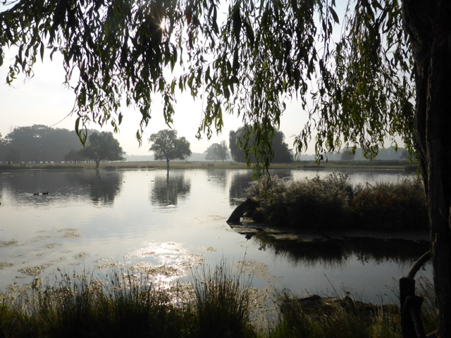 23.9.2014 ( Section 7 )