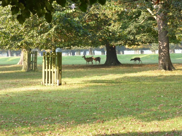 23.9.2014 ( Section 7 )