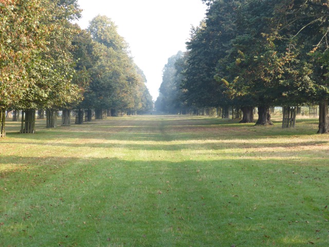 23.9.2014 ( Section 7 )