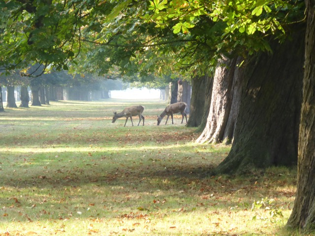 23.9.2014 ( Section 7 )