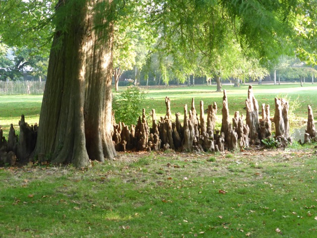 23.9.2014 ( Section 7 )