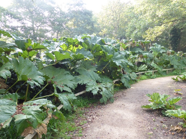 23.9.2014 ( Section 7 )